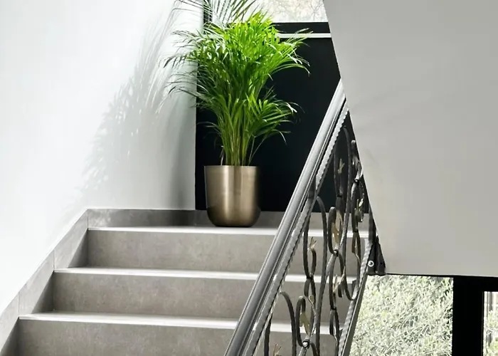 Samstag Parkzone Hotel